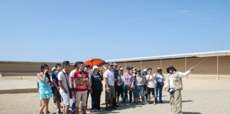 Trujillanos visitaron Complejo Chan Chan de manera gratuita