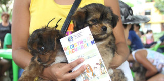 Inició II campaña veterinaria de Tenencia Responsable de Animales 2016 ‘Colita Feliz’