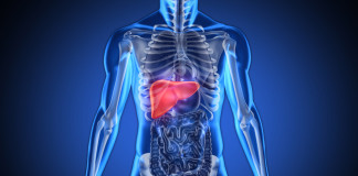 Descubren una manera de tratar el hígado graso