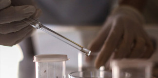 Desarrollan examen que diagnostica el zika en hasta cinco horas