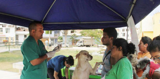 Decenas de mascotas recibieron atención Veterinaria gratuita