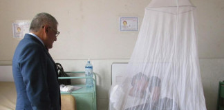 Ovitrampas dan buen resultado contra el dengue