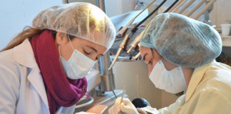 Implementarán este año el programa escolar “Cero Caries”