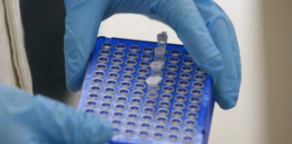 EE.UU. reunirá datos para avanzar en medicina de precisión