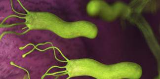 Microbios causan mayoría de cánceres en países pobres