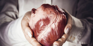 Desarrollan tratamiento para alargar la vida de órganos trasplantados