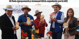 Se presentó la papa mas grande en el II Festival de la papa de Julcán
