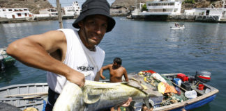 Se inició veda de perico a nivel nacional