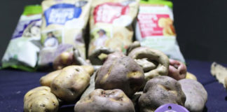 Exportación de papa nativa peruana creció 211%