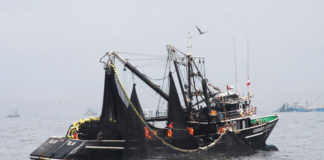 Ministerio de la Producción autoriza primera temporada de pesca de Anchoveta