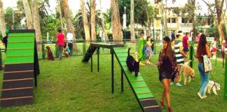 Destinan zonas exclusivas para mascotas en parques