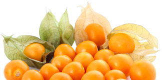 El Aguaymanto es la fruta que lucha contra el envejecimiento y el estrés