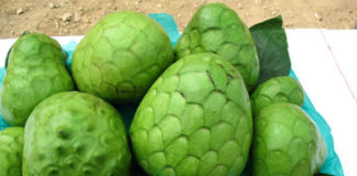 Los beneficios y propiedades de la chirimoya