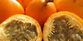 Beneficios y propiedades de la Granadilla