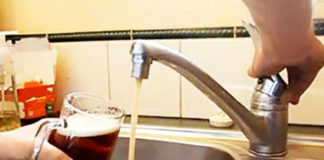 Cerveza llegará a las casas como el agua potable en Bélgica