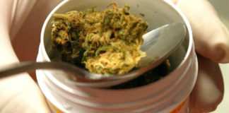 Expondrán sobre el uso medicinal de la marihuana en UPAO