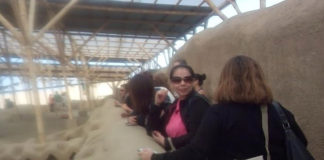 Operadores turísticos internacionales participaron en fam trip de la Ruta Moche