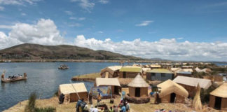 Perú comenzará a exportar totora del lago Titicaca a Holanda