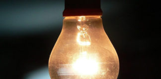 Estudio en ratones evidencia que la luz artificial enferma