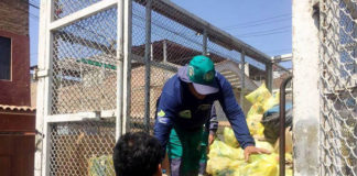 Capacitarán a recicladores de Trujillo para que formen su empresa