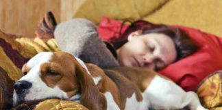 Vivir con un perro de mascota evitaría ataques al corazón