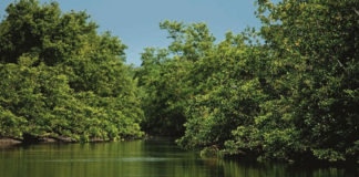 Perú y Ecuador crearán Reserva de Biósfera Transfronteriza