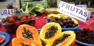 Alimentos que ayudan a mejorar la capacidad de Memoria