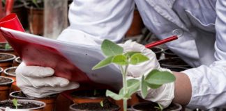 Diplomatura Sistemas ISO 9001, ISO 14001 y OHSAS 18001