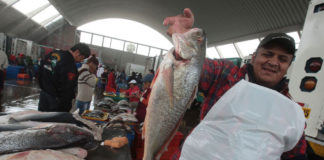 Programa «A Comer Pescado» ofrecerá el festival Mi Pescadería en La Libertad
