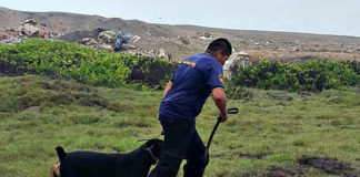 Capacitan en defensa de multitudes a agentes de la Brigada Canina de Seguridad Ciudadana de Trujillo