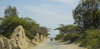 Limpian camino ceremonial Chimú en el complejo Chan Chan