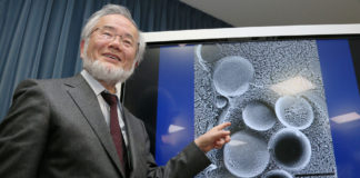 Japonés Yoshinori Ohsumi es el ganador del premio Nobel de Medicina