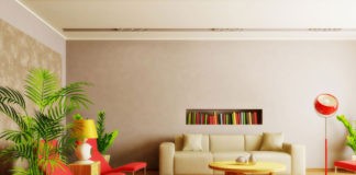 Beneficios de tener flores y plantas en el hogar