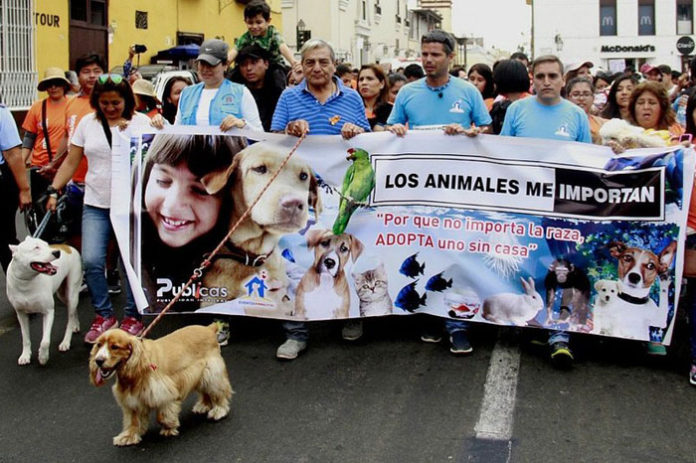marcha-los-animales-me-importan-en-trujillo