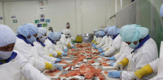 Trucha peruana aumenta en más del 50% sus envíos al extranjero