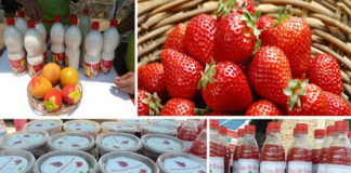 Se realizará la XIII Feria Regional de la Fresa en Menocucho