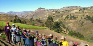 GRLL enseña a mejorar hábitos de alimentación con Bihouertos Familiares en Julcán