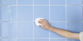 Conozca cómo controlar el moho para evitar las alergias