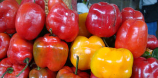 Estudio revela que rocoto puede reducir el riesgo de muerte