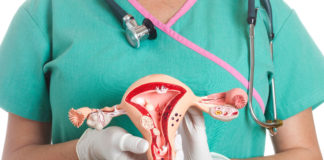 Estudio expone que extracción de ovarios eleva riesgo de muerte por males cardiacos