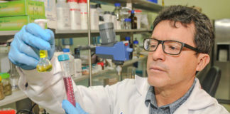 Investigador de UPAO es vicepresidente de Sociedad Peruana de Electroquímica