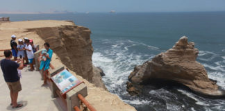 Más de 1 millón 800,000 turistas visitaron áreas naturales protegidas en Perú