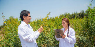 Ciencias Agrarias de UPAO busca acreditación de Ingeniería Agrónoma y Veterinaria