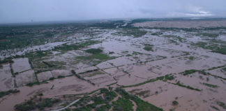 Gobierno alista cobertura al 100% en seguro agrario