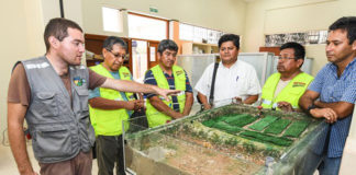 Ingenieros de la UNI se suman a proyecto de UPAO para reconstruir Trujillo