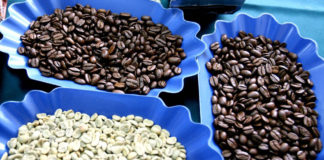 Concurso internacional de Café se realizará por primera vez en Perú