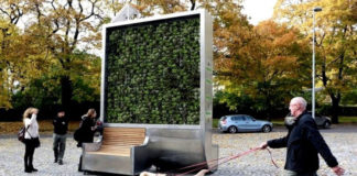 Crean un árbol que absorbe la contaminación del Aire como en un bosque