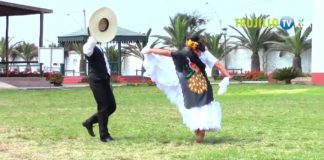 El Caballo Peruano de Paso Costumbre y Tradición para conocer y montar