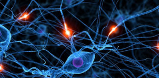 Especialistas logran revertir la enfermedad de Huntington