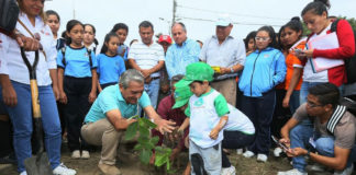 MPT inicia trabajos de reforestación en la avenida Miraflores